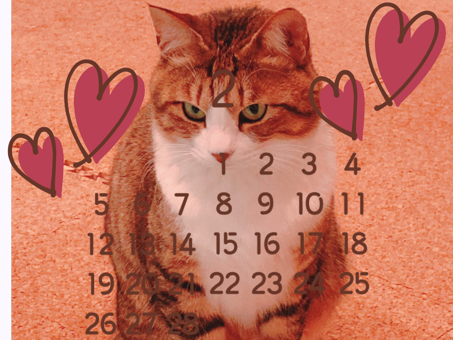 ななこブログ２月２２日にゃんにゃんにゃん『猫の日』の画像
