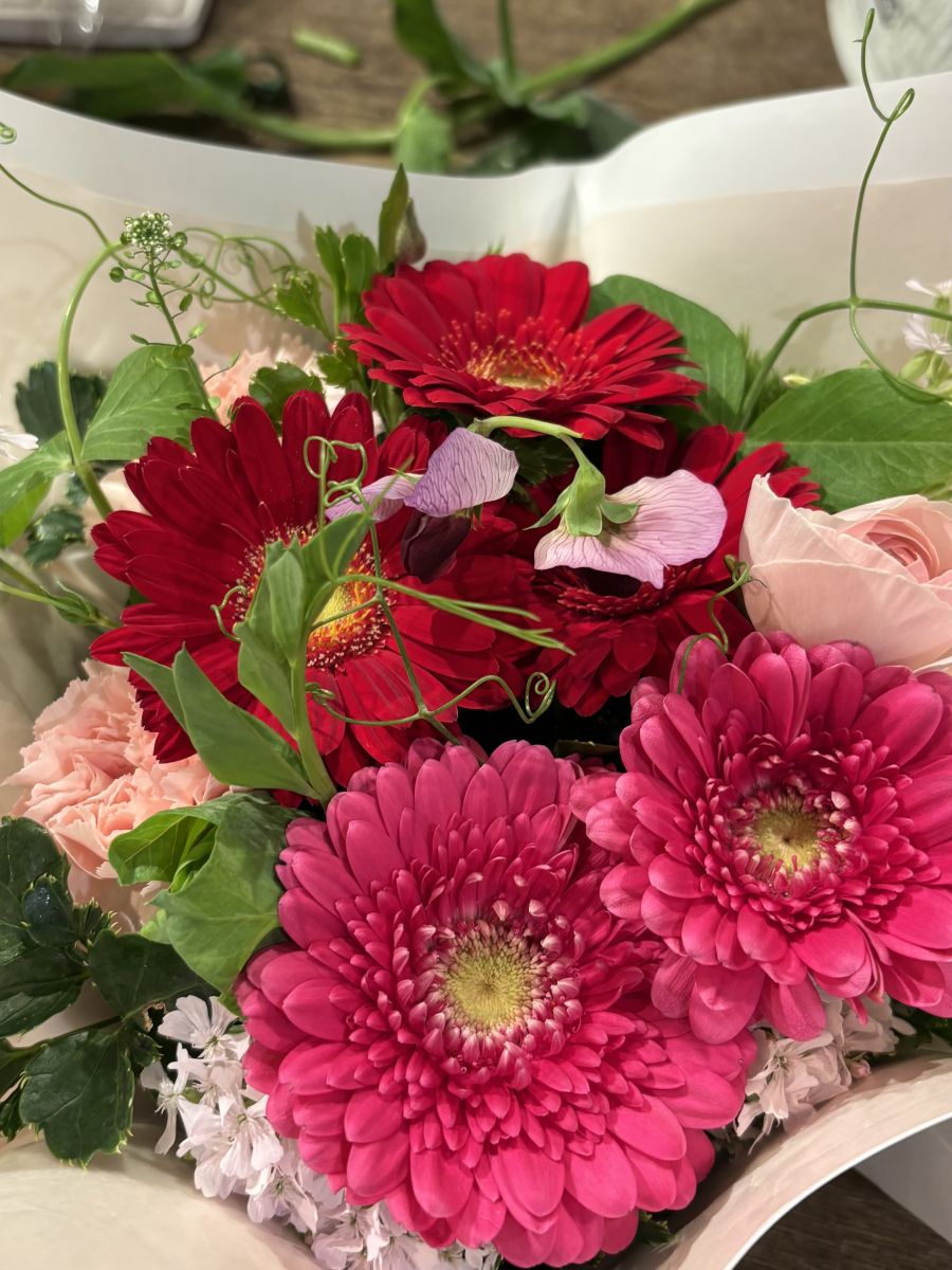 みなみのブログの画像